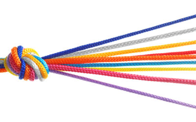 Better Together: A Collaboration Checklist to Boost Language Quality Performance